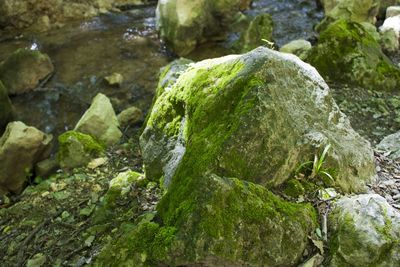 Rocks on rocks