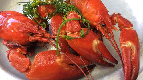 Close-up of red chili peppers