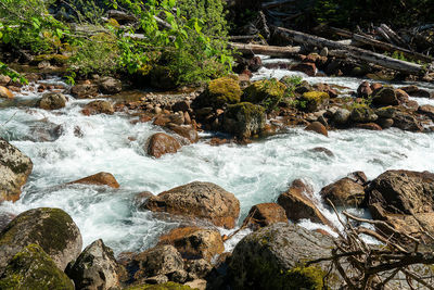 Scenic view of river flowing through rocks in forest