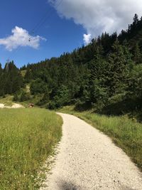 Footpath against trees on sunny day at brauneck