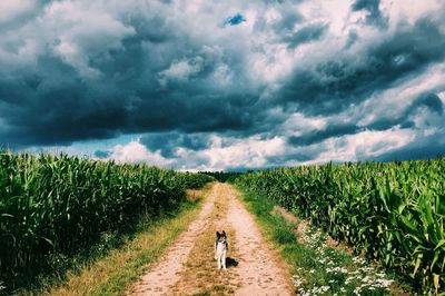 Dirt road passing through field against cloudy sky