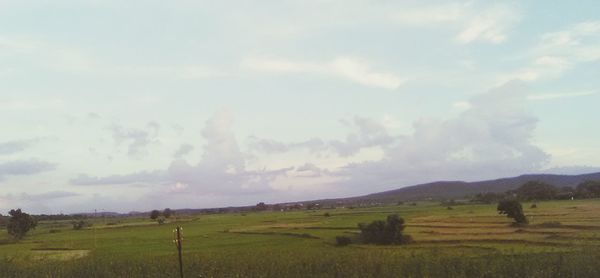 Scenic view of field against cloudy sky