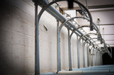 Close-up of metal showers