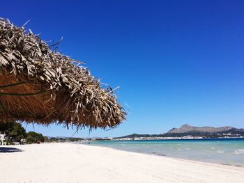 Scenic view of beach against clear blue sky