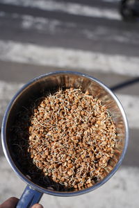 Germinated, sprouted lentils, legumes, in pot on street