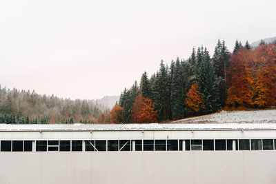 Trees by building against sky during winter