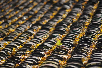 Detail shot of roof tiles