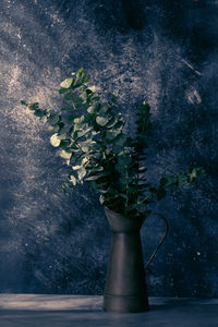 Close-up of small plant in vase