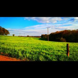 Scenic view of grassy field against sky