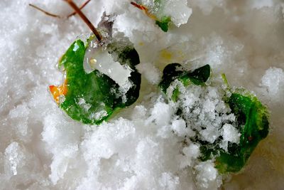 High angle view of ice cream