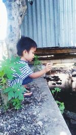 Side view of boy holding plants