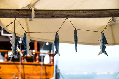 Fish symbols on the market by the sea