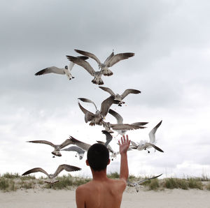 Rear view of shirtless man with seagulls flying in sky
