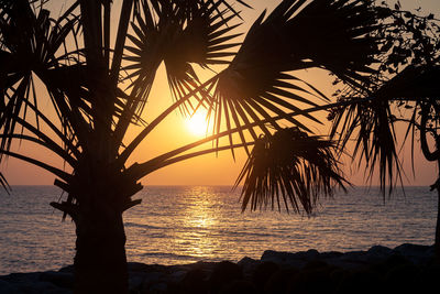 Silhouette palm trees by sea against sky during sunset