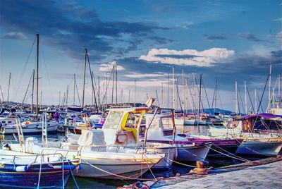 Sailboats moored in harbor