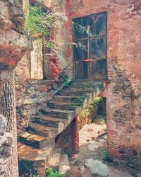 Close-up of ivy on brick wall