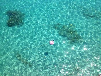 High angle view of pink buoy in blue sea on sunny day