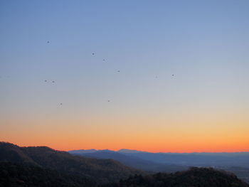 Silhouette of birds flying in sky during sunset