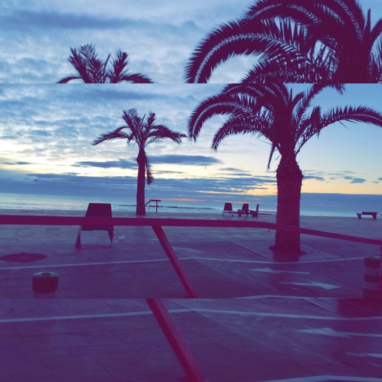 sea, sky, beach, horizon over water, palm tree, water, tree, cloud - sky, tranquil scene, tranquility, beauty in nature, shore, nature, sand, scenics, cloud, vacations, silhouette, incidental people