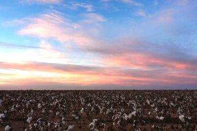 Panoramic view of landscape against sky