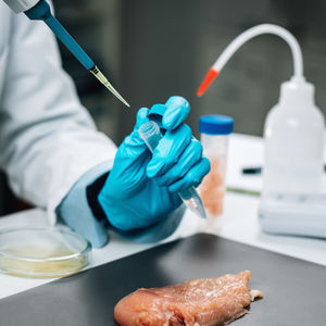 Midsection of person preparing food on table