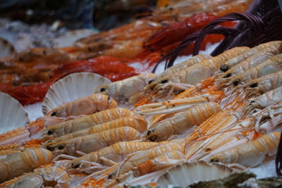 Close-up of fish for sale in market