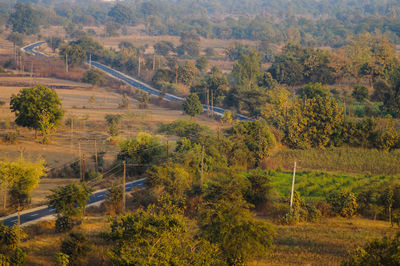 High angle view of trees along landscape