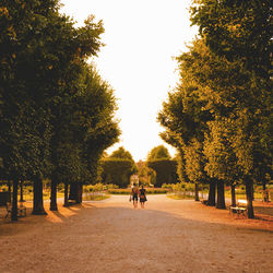 People walking on road amidst trees against clear sky