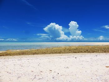 Scenic view of beach against blue sky