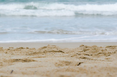 Close-up of beach against sky