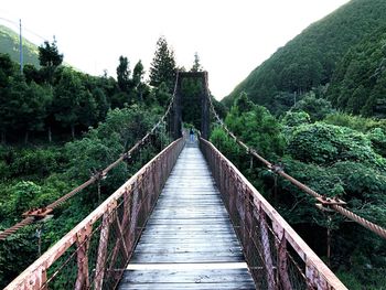 Footbridge amidst trees in forest against sky