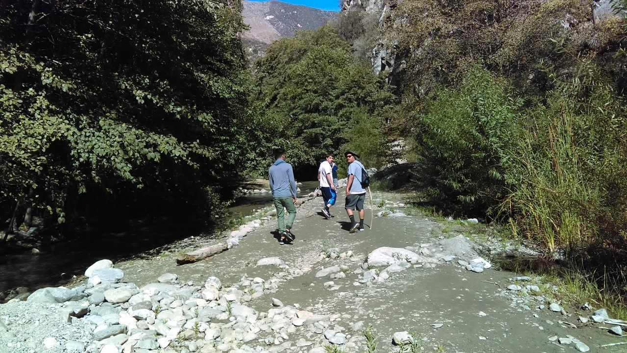 PEOPLE ENJOYING IN STREAM AMIDST TREES AND PLANTS