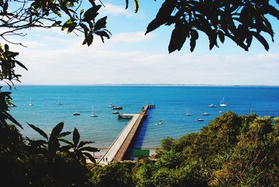 View of boats moored in calm blue sea