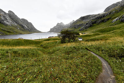 Panoramic view of hiking trail leading to bay at water surrounded by mountains in lofoten norway.