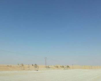 Scenic view of desert against sky