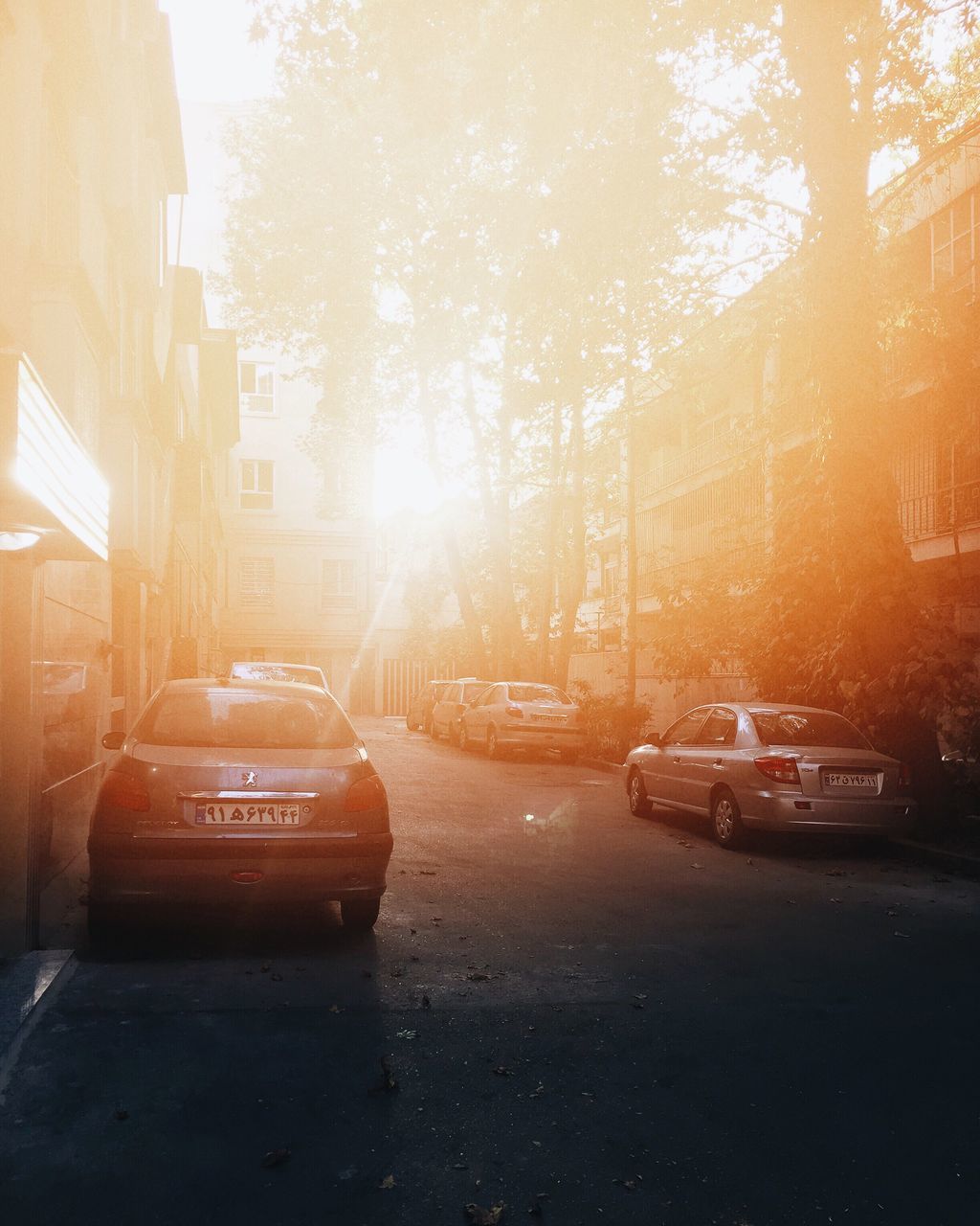 transportation, car, building exterior, land vehicle, mode of transport, built structure, architecture, tree, street, city, parking, city life, road, stationary, sunbeam, city street, lens flare, residential district, outdoors, day, sunrise - dawn, the way forward, diminishing perspective