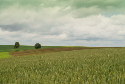 Scenic view of field against cloudy sky