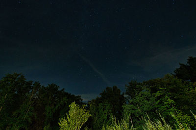 Low angle view of trees against sky at night