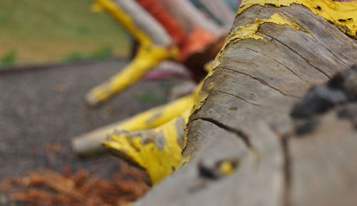 Close-up of wooden object