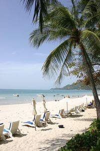 Lounge chairs at beach on sunny day