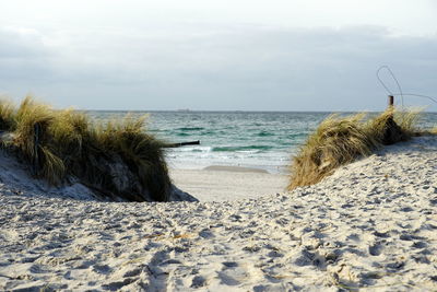 Scenic view of beach against sky