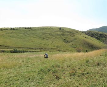 Scenic view of grassy field against sky