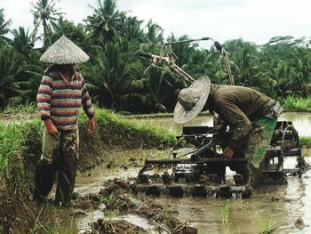 Man working on agricultural field