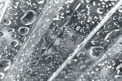 Full frame shot of raindrops on leaf