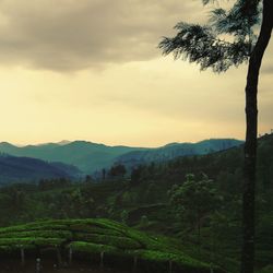 Scenic view of landscape against sky during sunset