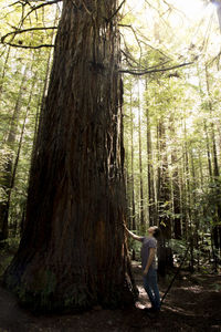 Man standing by tree trunk in forest