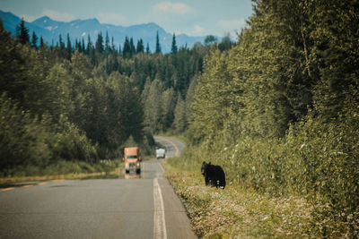 View of road on landscape