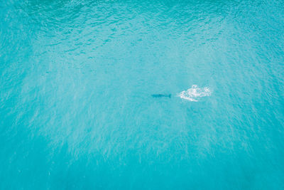 High angle view of sea waves