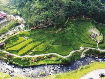 High angle view of green landscape