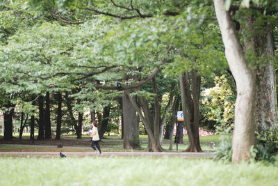 People walking on grass in forest